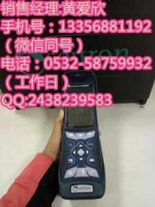 意大利斯爾頓C500煙氣分析儀同時檢測幾種*